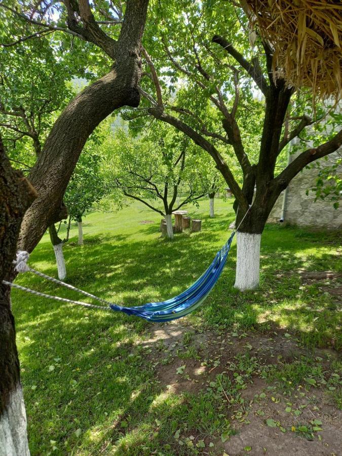 Guest House Ijevan'S Garden Exterior foto